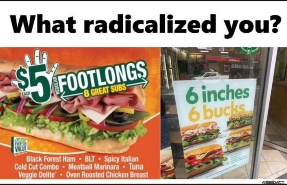 Who Radicalized You