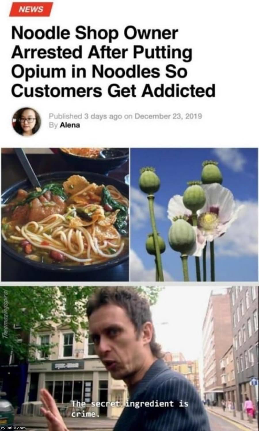 Who Wants Noodles