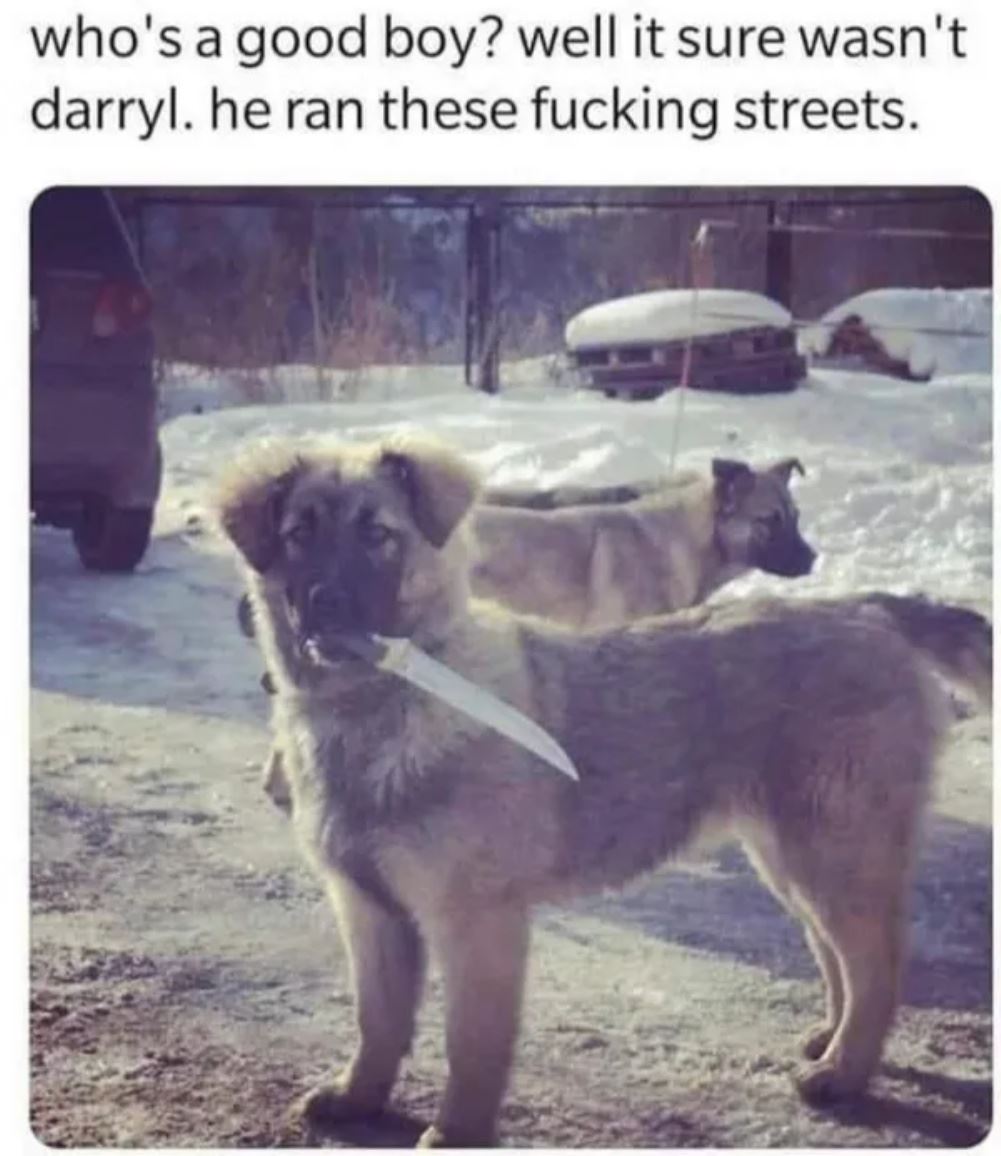 Whos A Good Boy