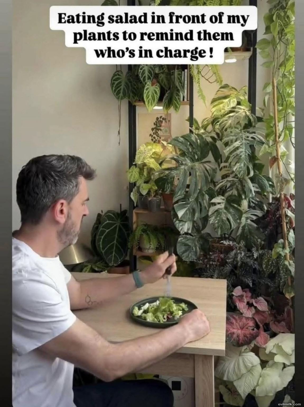 Whos In Charge