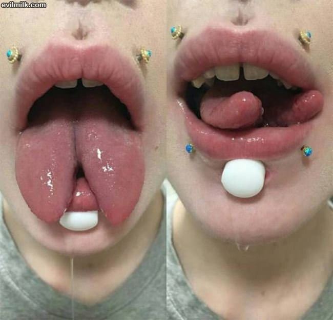 Why Do Idiots Do This