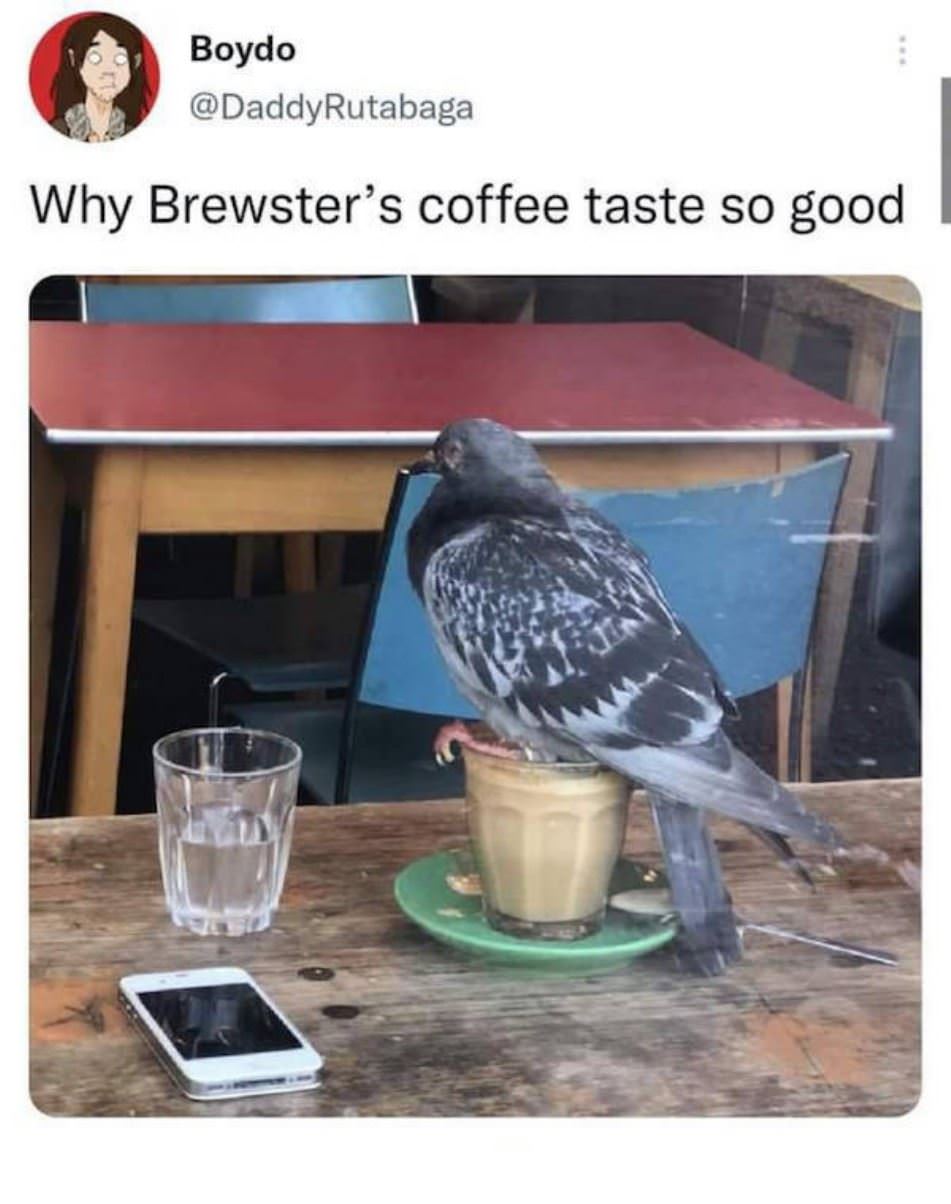 Why Is It So Good