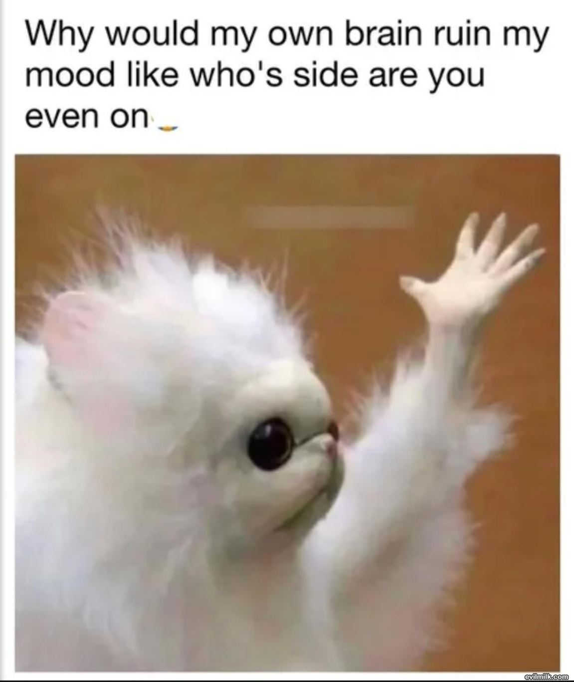 Why Ruin It