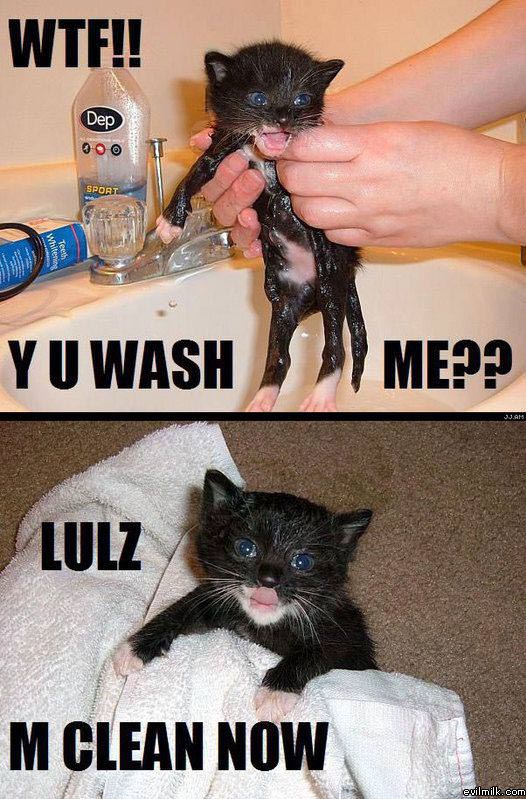 Why Wash