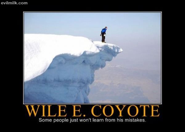 Wile E Coyote