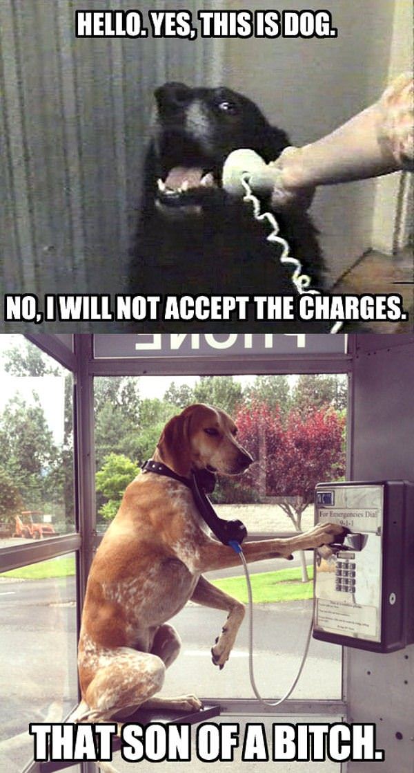 Will Not Accept