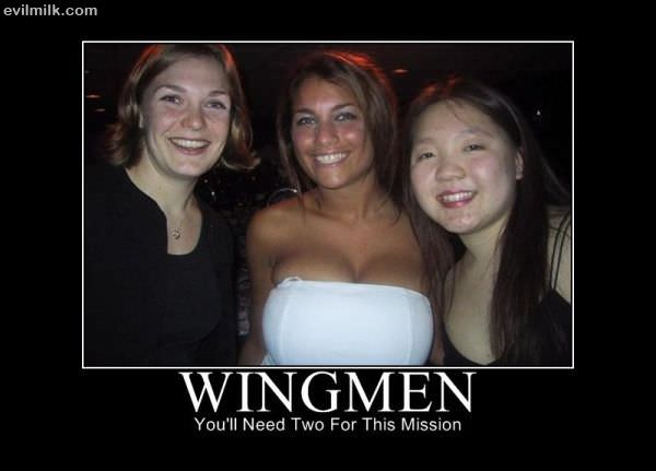 Wingmen   Copy