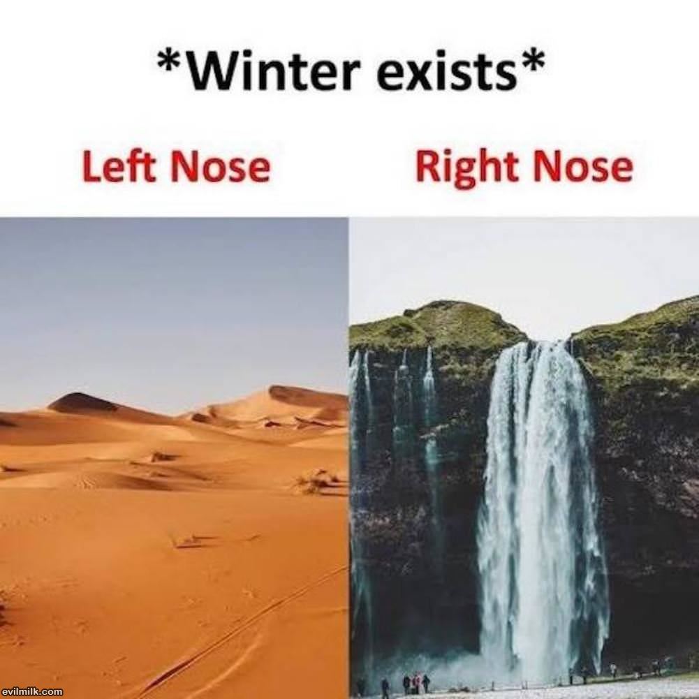 Winter Exists