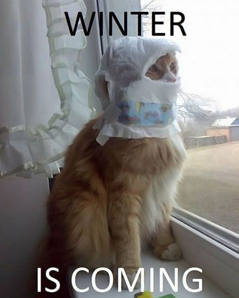 Winter Is Coming