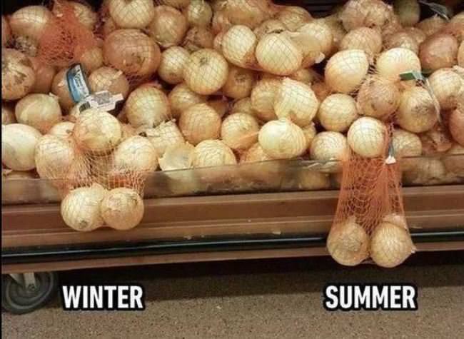 Winter Vs Summer