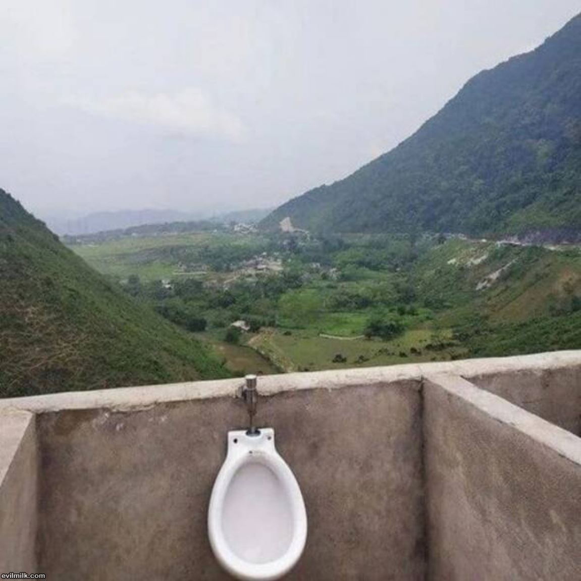 With A View