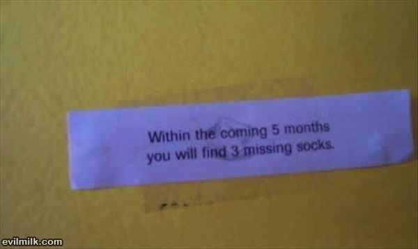 Within The Coming Months