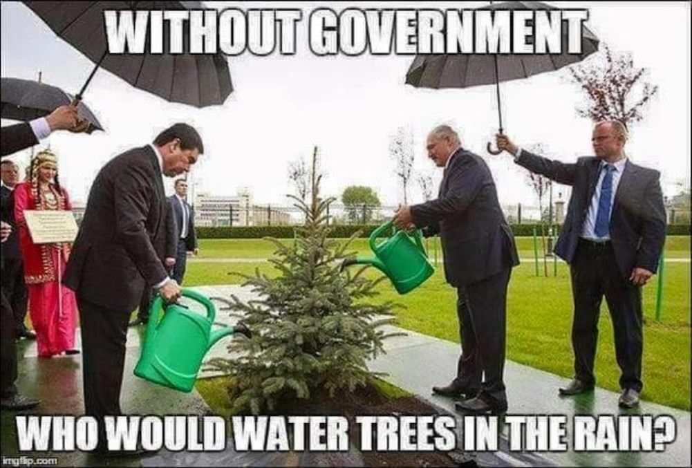 Without Government