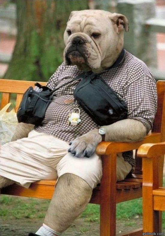 Woof