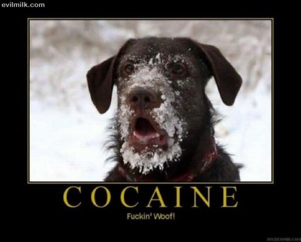 Woof