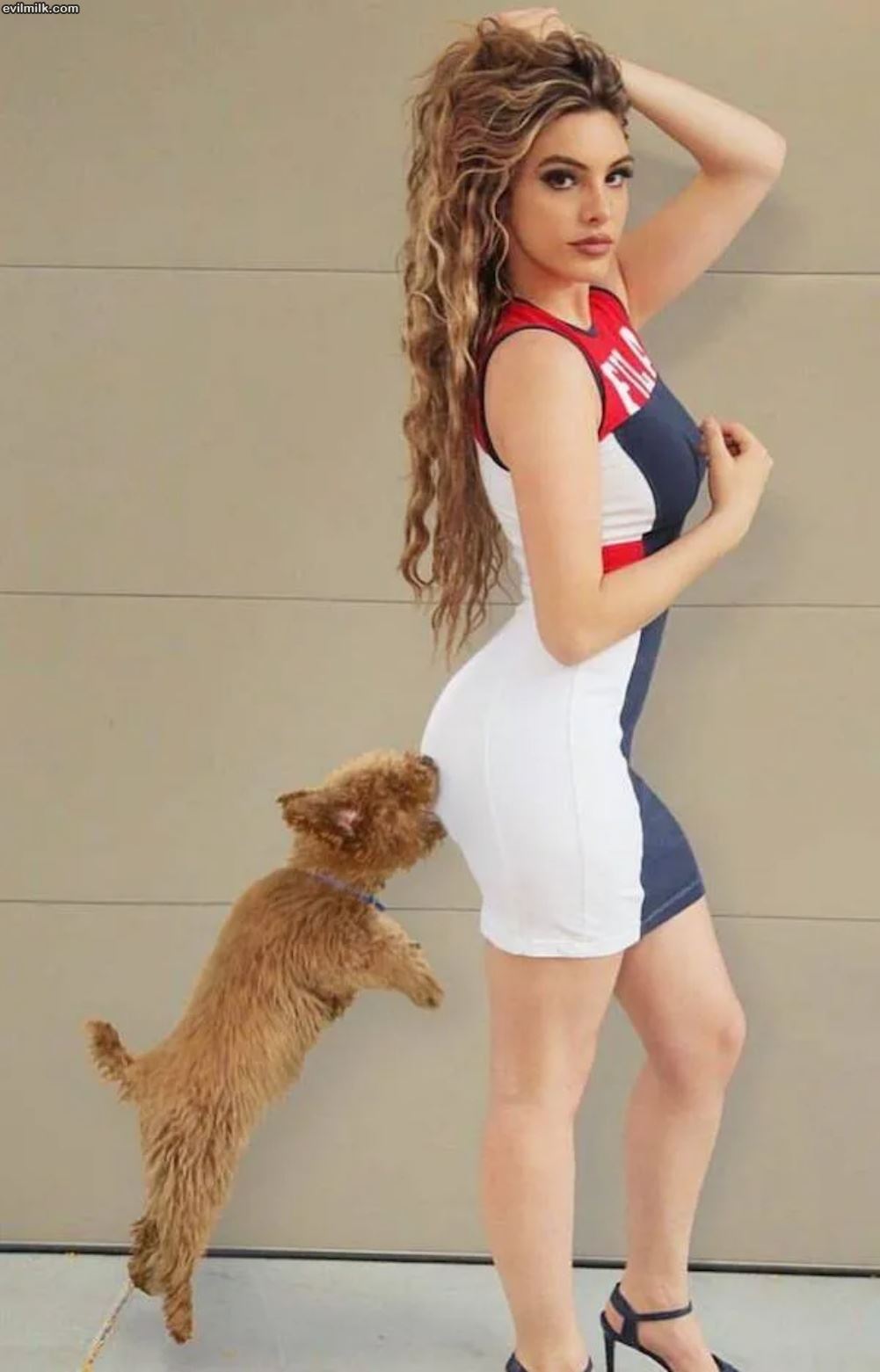 Woof
