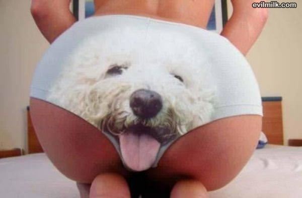 Woof