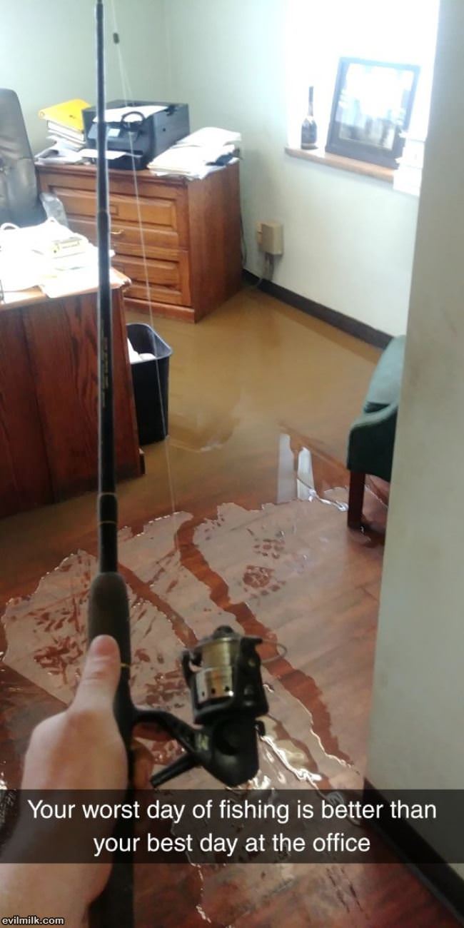 Worst Day Of Fishing