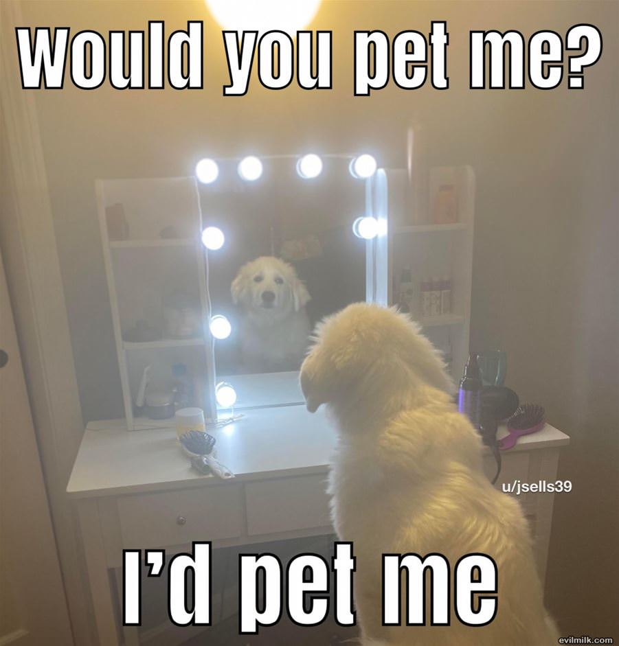 Would You Pet Me