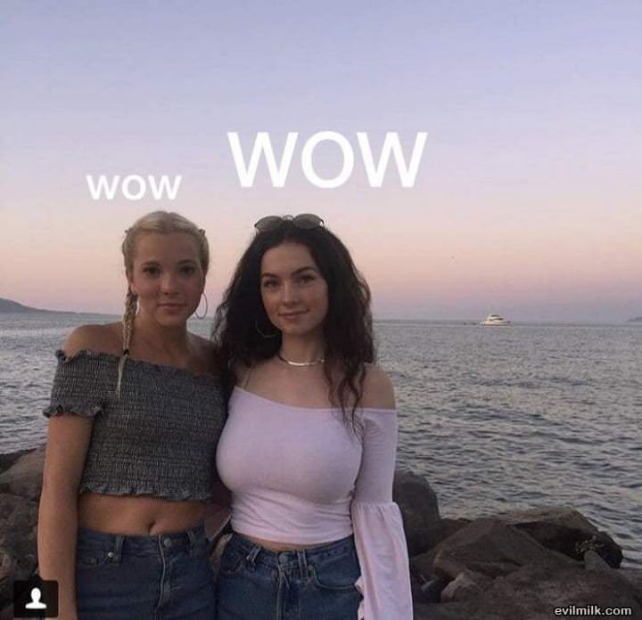 Wow And Wow