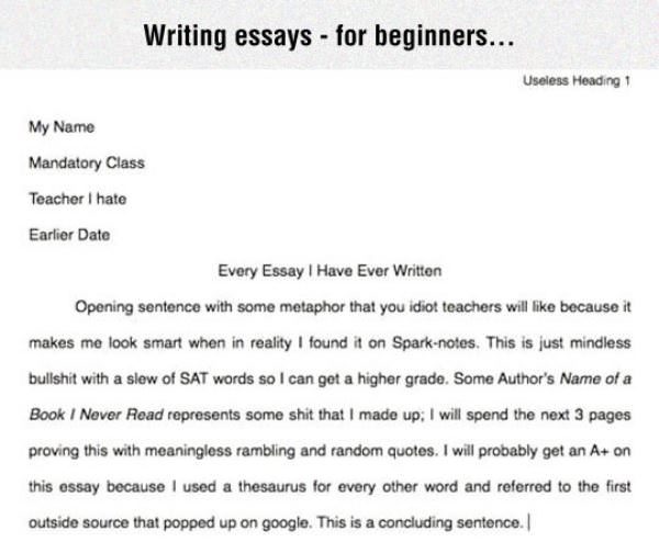 Writing Essays