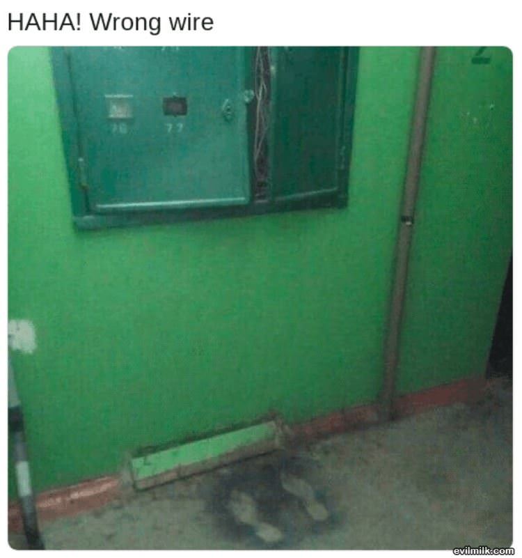 Wrong Wire