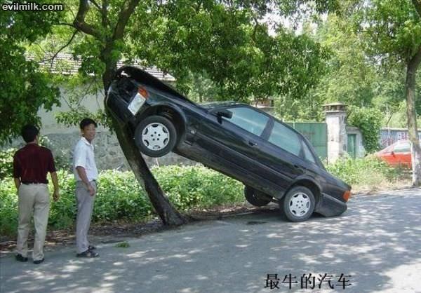 Wtf Parking