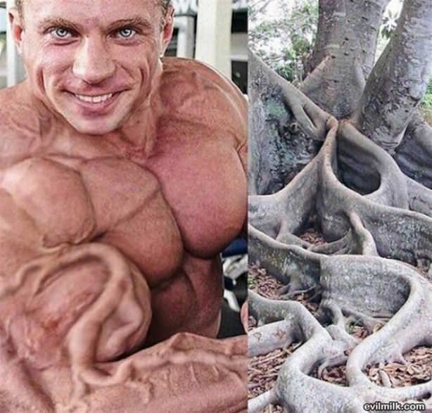 Wtf Picdump 45