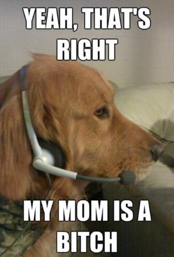 Xbox Live Dog