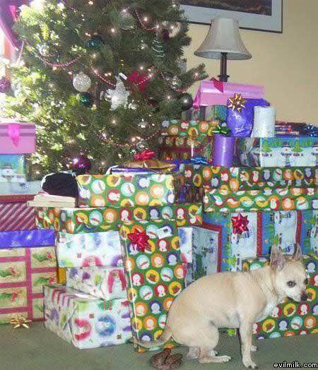 Xmas Present