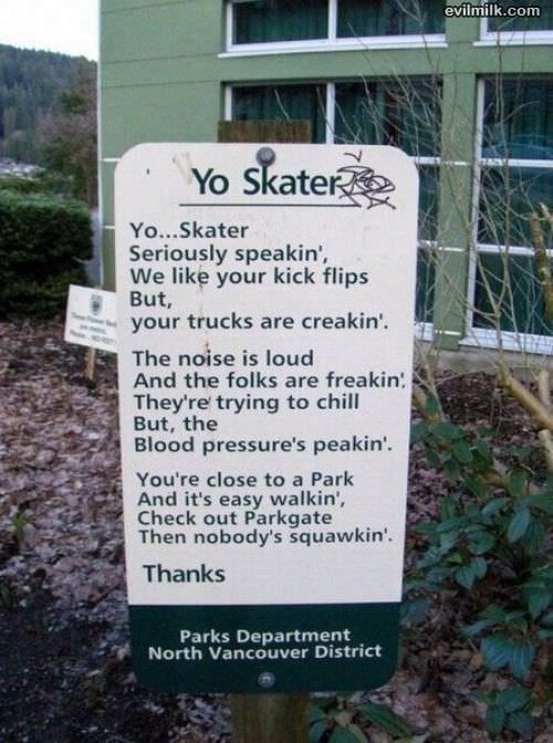 Yo Skater