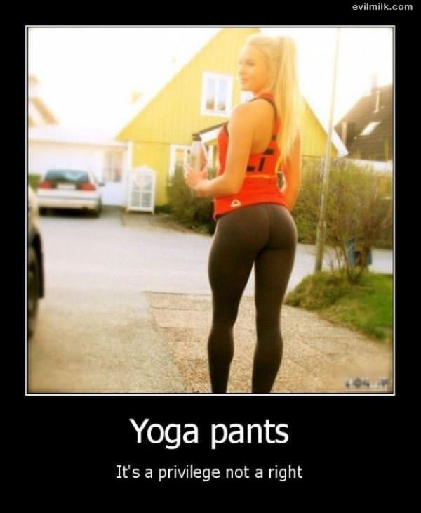 Yoga Pants