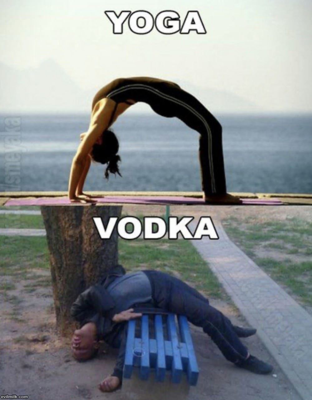 Yoga Vs Vodka