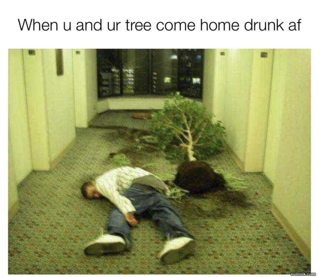 You And Your Tree