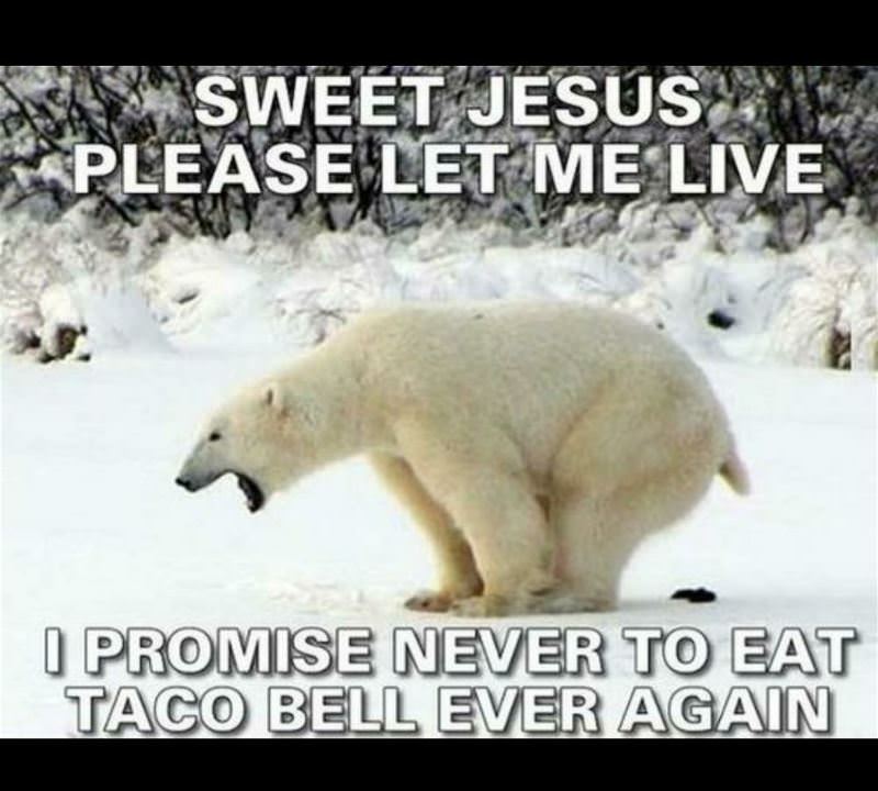 You Animal 105