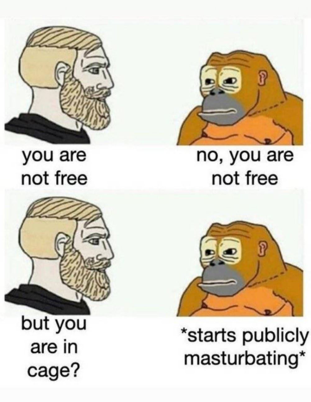 You Are Not Free