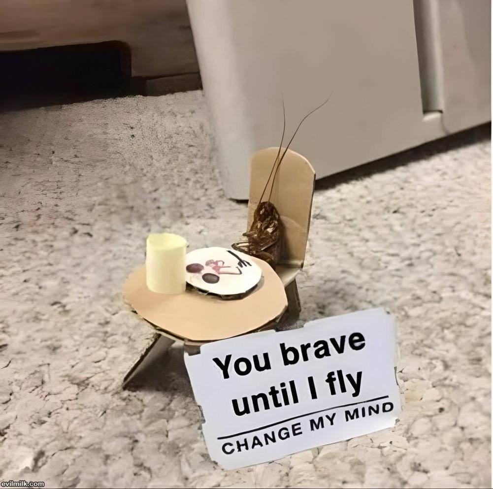 You Brave