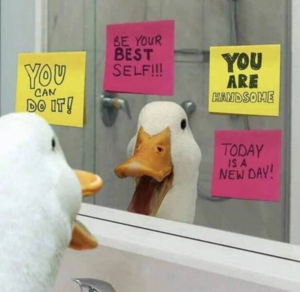 You Can Do It