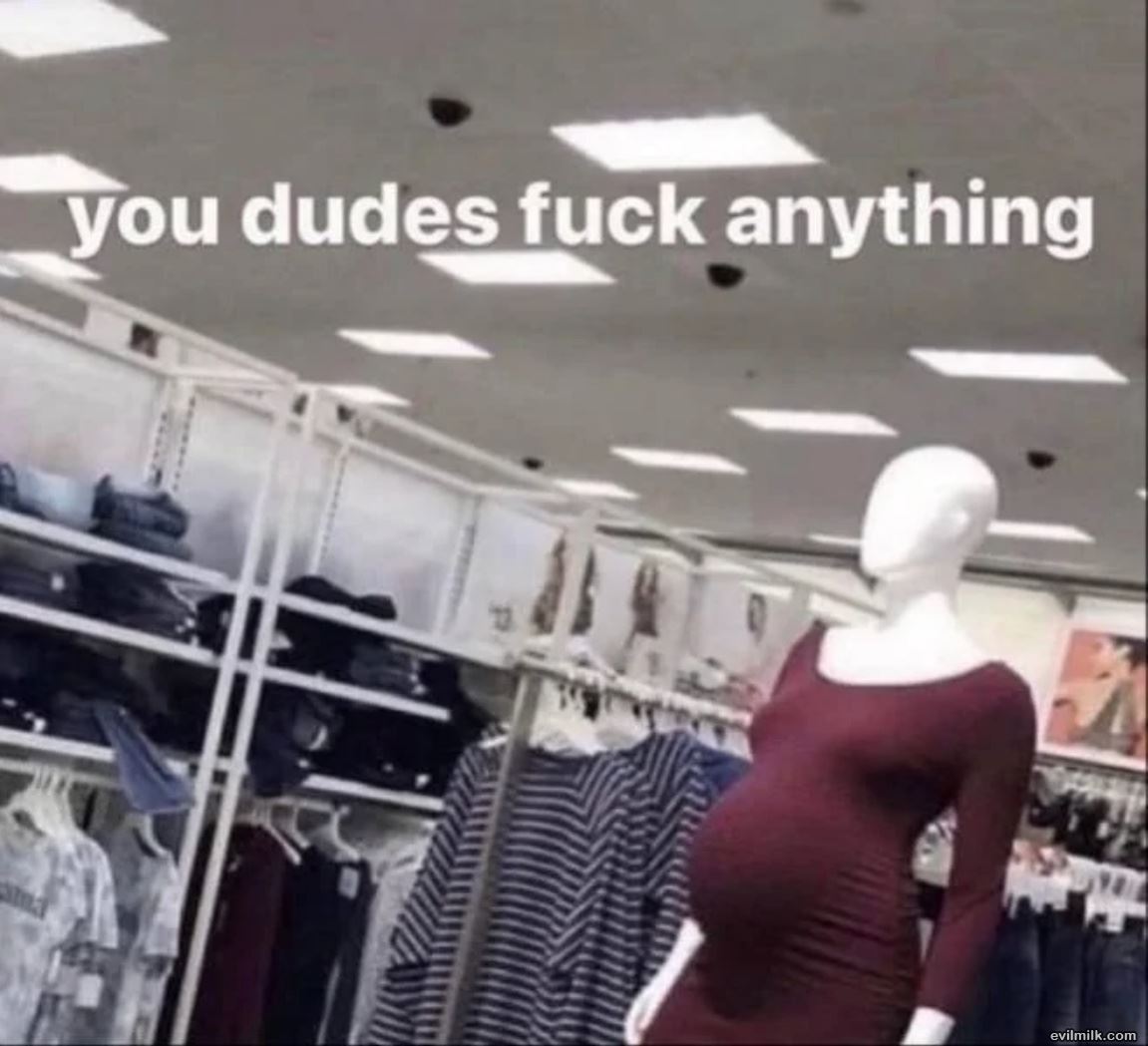 You Dudes