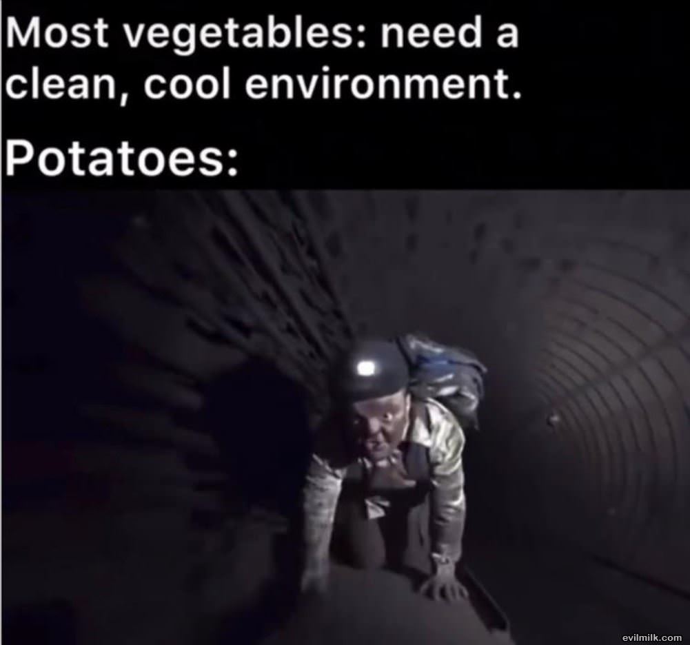 You Have Potatoes