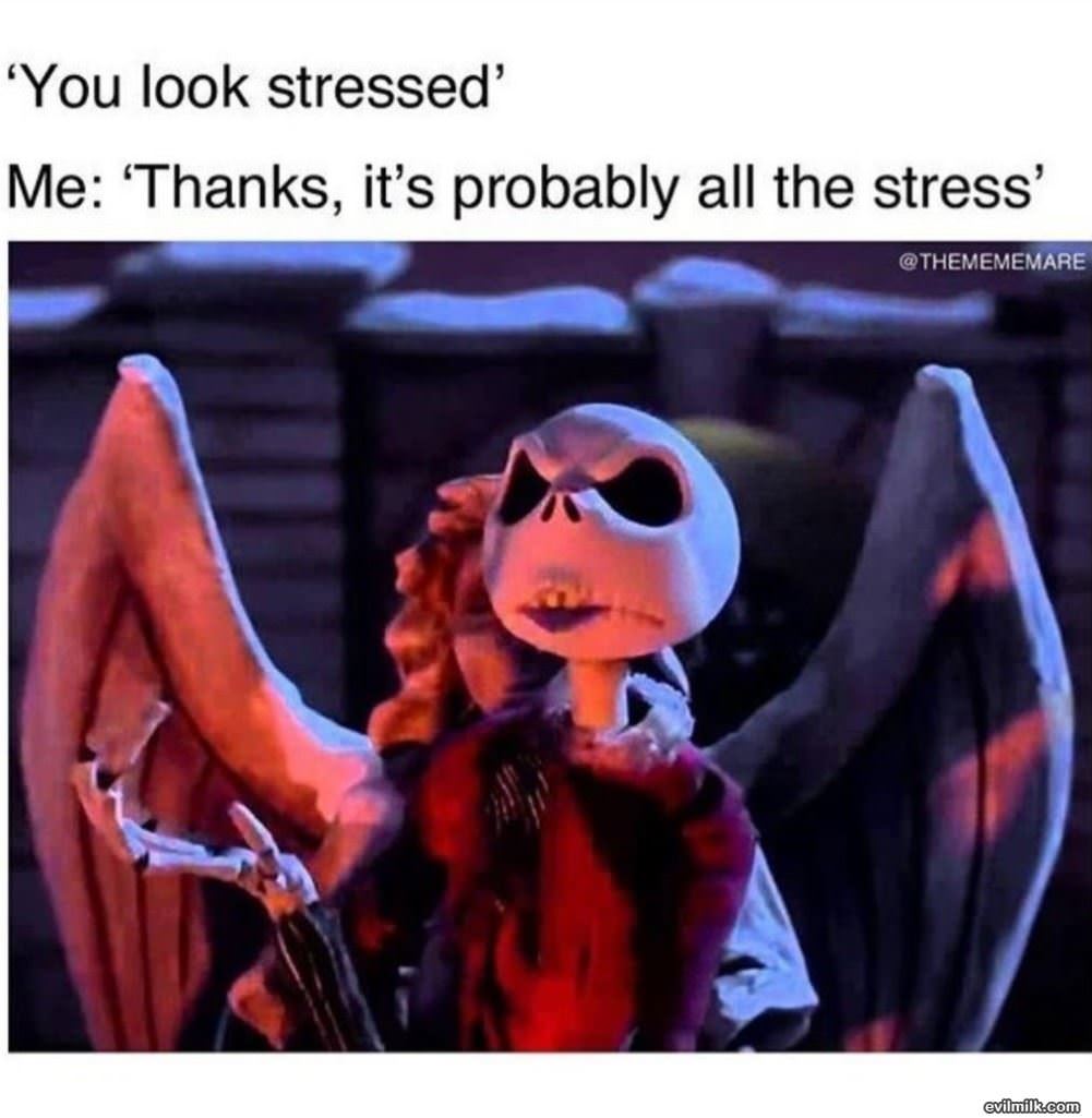You Look Stressed
