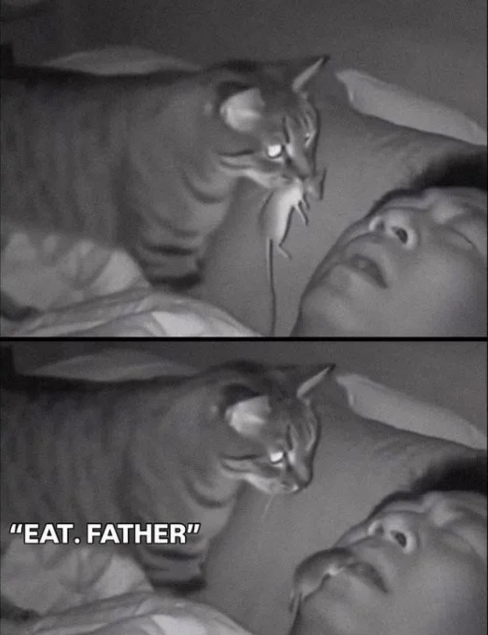 You Need To Eat