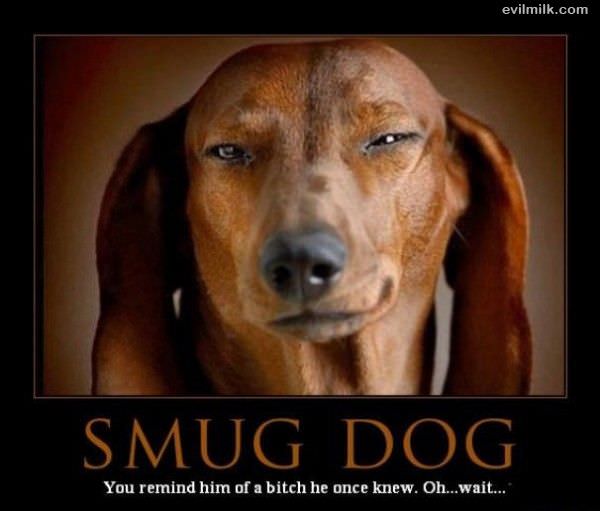 You Remind Him