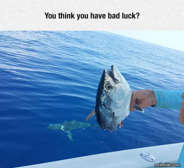 You Think You Have Bad Luck