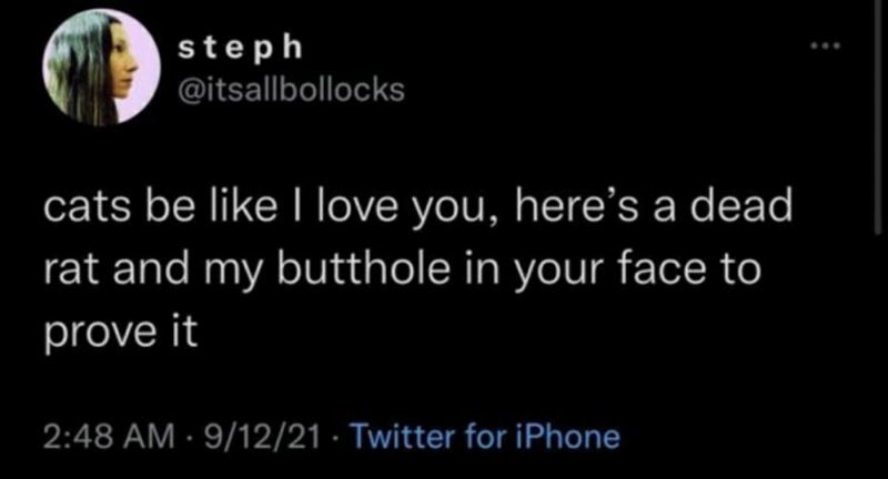 You animal 174