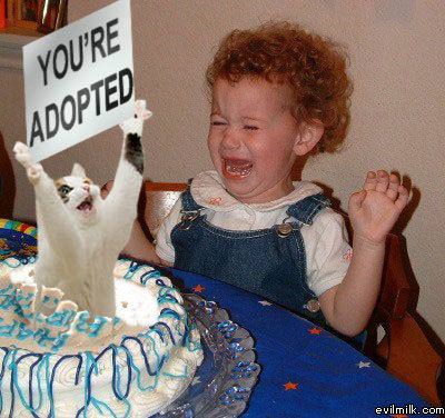 Your Adopted