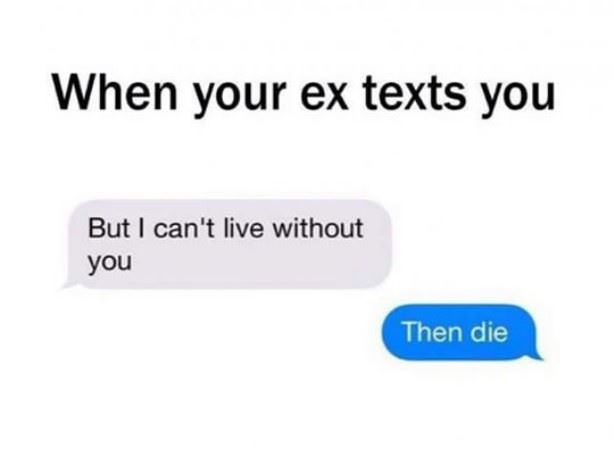 Your Ex