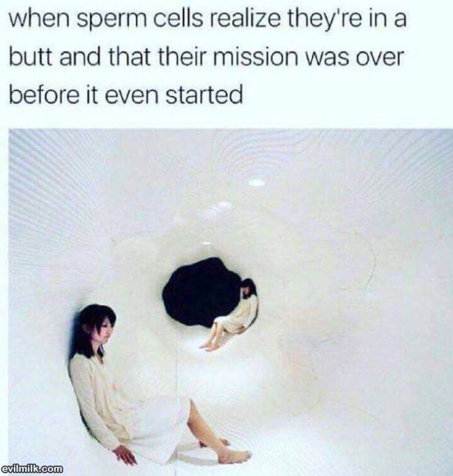 Your Mission Is Over