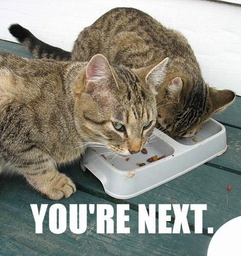 Your Next
