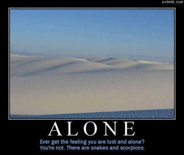 Your Not Alone